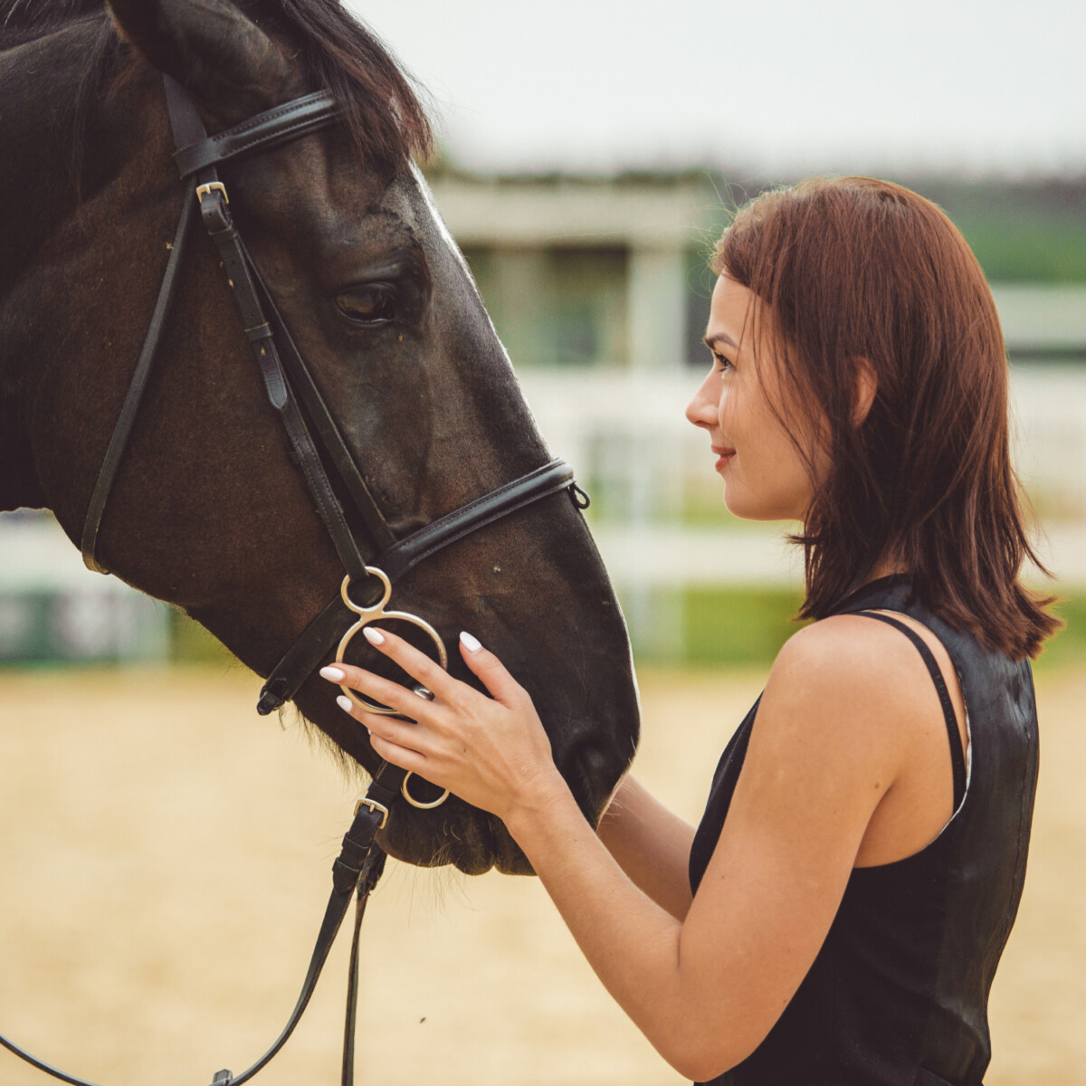 Equipona healthy horse