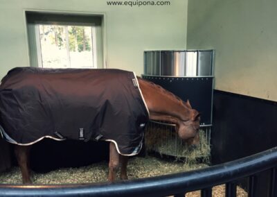 Paard gezond voederen