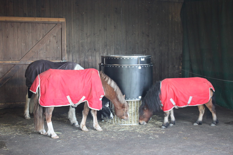 5 tekenen dat uw paard baat heeft bij een automatisch voersysteem